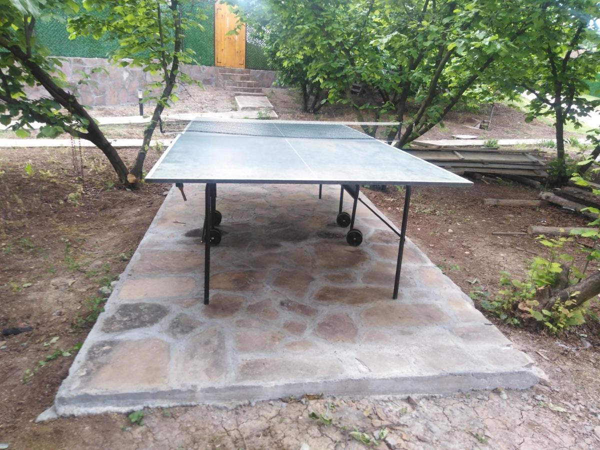 Vila Viktori Pirot Ngoại thất bức ảnh
